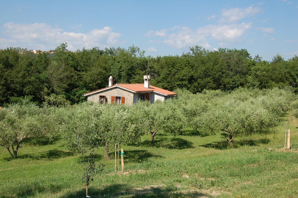 Olivahouse Marezige Exterior foto